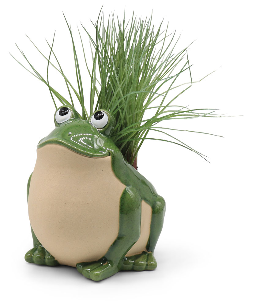 Planter frog, earthenware