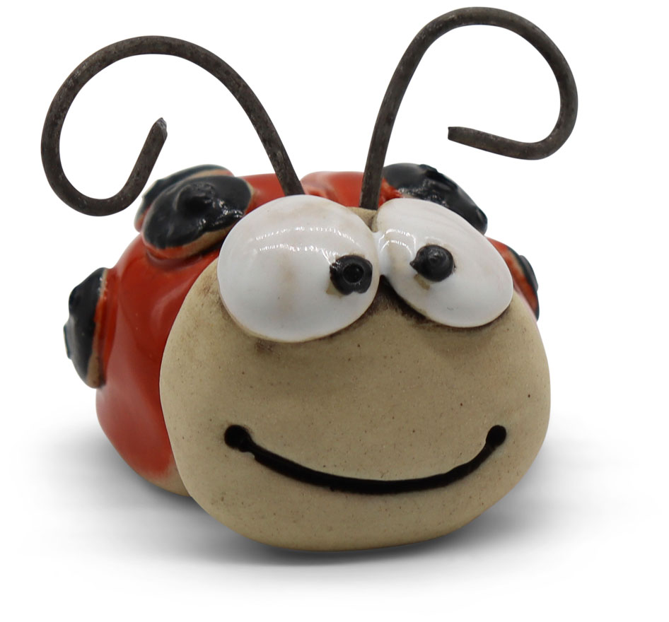 Miniature ladybird