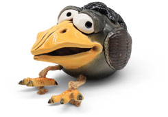 Coins bank crazy bird