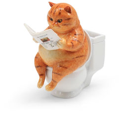 Mr. Felix on the Toilet