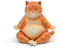 Mr. Felix doing Yoga