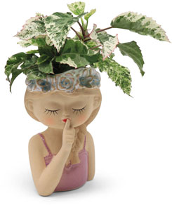 Plant pot Mademoiselle Lily, ceramic